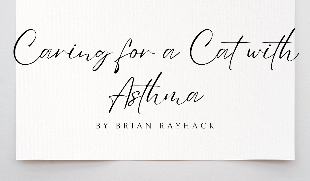 Caring for a Cat with Asthma